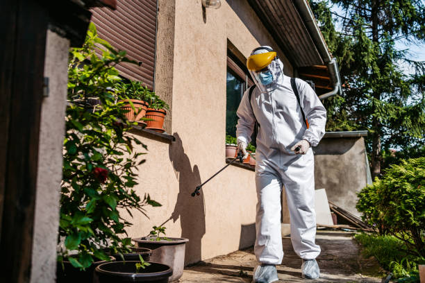 Best Best Pest Control Companies  in Brewster, NY