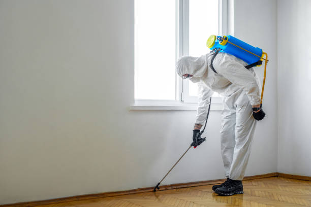 Best Local Pest Control Services  in Brewster, NY